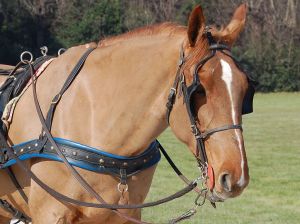 I can't see nothing an I'm happy