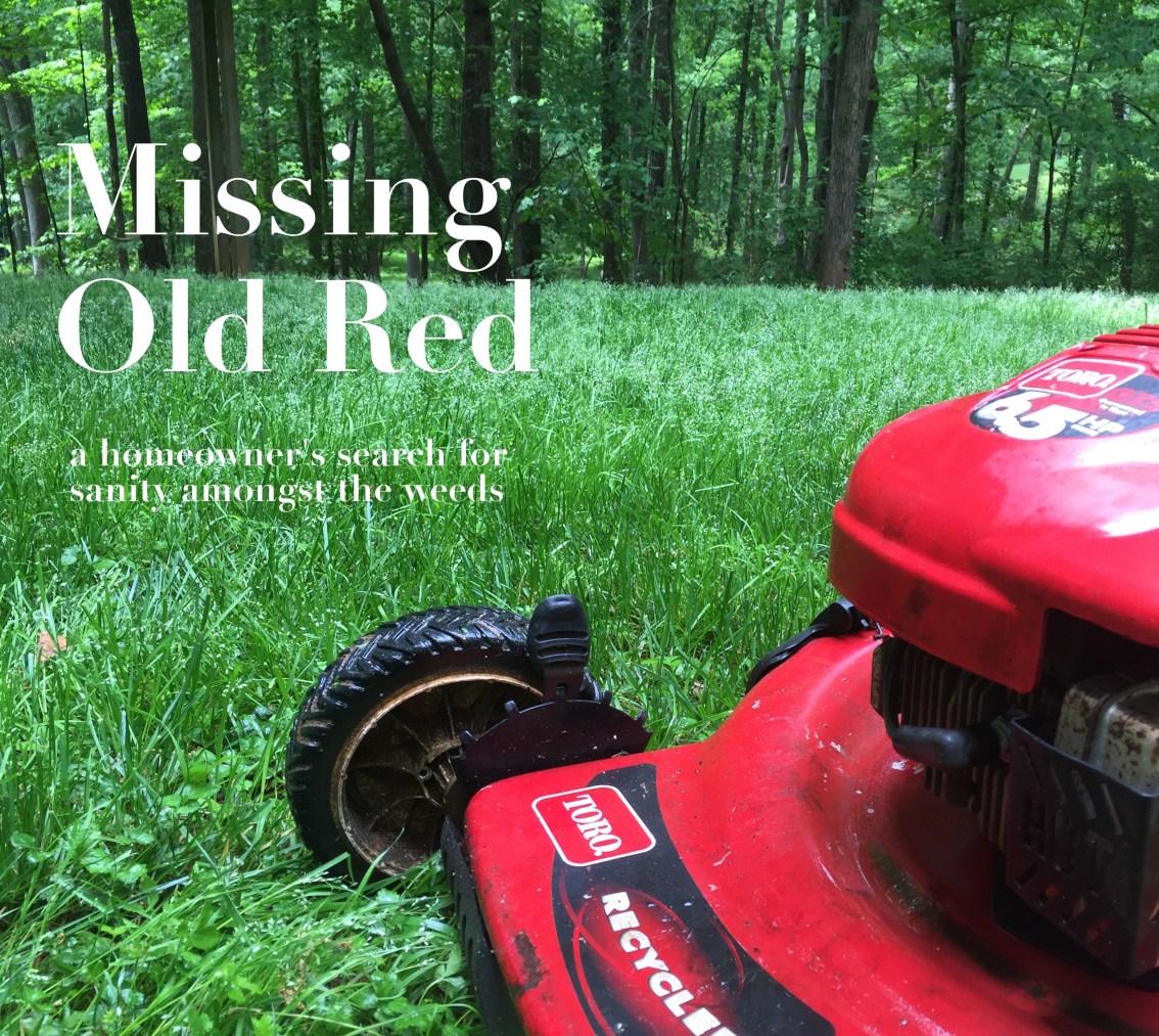 The Curious Demise of Old Red – A Generous Helping