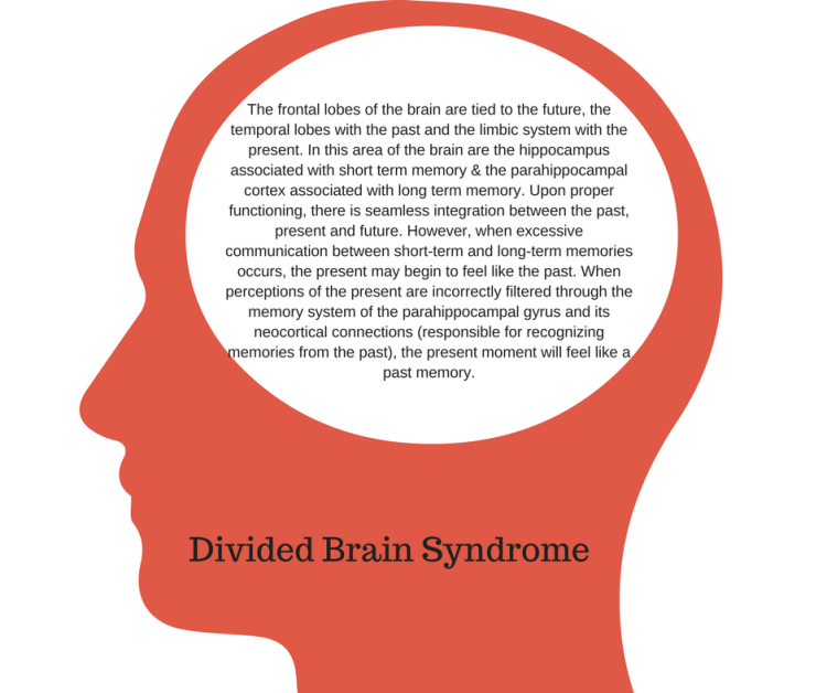 divided-brain-syndrome-the-frontal-lobes-of-the-brain-are-tied-to-the-future-the-temporal-lobes-with-the-past-and-the-limbic-system-with-the-present-in-this-area-of-the-brain-are-the-hippocampus-as